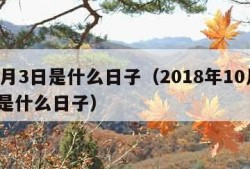 10月3日是什么日子（2018年10月3日是什么日子）