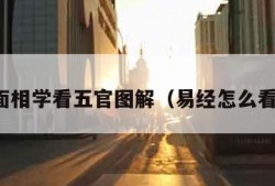 易经面相学看五官图解（易经怎么看面相）