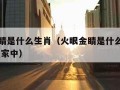 火眼金睛是什么生肖（火眼金睛是什么生肖的动物 在家中）