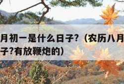 农历八月初一是什么日子?（农历八月初一是什么日子?有放鞭炮的）