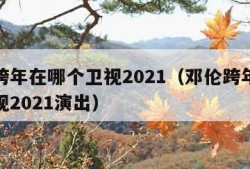 邓伦跨年在哪个卫视2021（邓伦跨年在哪个卫视2021演出）