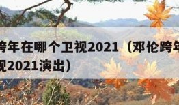 邓伦跨年在哪个卫视2021（邓伦跨年在哪个卫视2021演出）