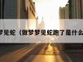 做梦梦见蛇（做梦梦见蛇跑了是什么意思）