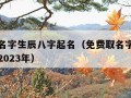 免费取名字生辰八字起名（免费取名字生辰八字起名2023年）