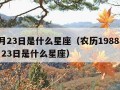 12月23日是什么星座（农历1988年12月23日是什么星座）