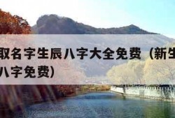 新生儿取名字生辰八字大全免费（新生儿起名字生辰八字免费）