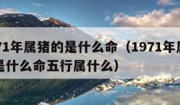 1971年属猪的是什么命（1971年属猪的是什么命五行属什么）