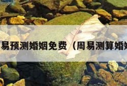 周易预测婚姻免费（周易测算婚姻）