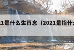 2021是什么生肖念（2021是指什么生肖）