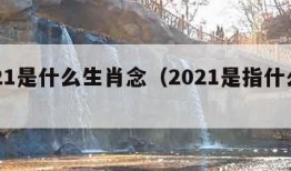 2021是什么生肖念（2021是指什么生肖）