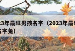 2023年最旺男孩名字（2023年最旺男孩名字兔）