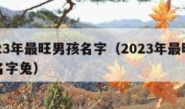 2023年最旺男孩名字（2023年最旺男孩名字兔）