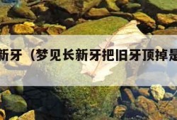 梦见长新牙（梦见长新牙把旧牙顶掉是什么意思）