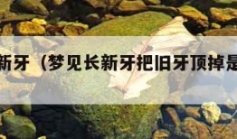 梦见长新牙（梦见长新牙把旧牙顶掉是什么意思）