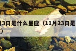 11月3日是什么星座（11月23日是什么星座）