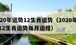 2020年运势12生肖运势（2020年运势12生肖运势每月运程）