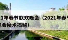 2021年春节联欢晚会（2021年春节联欢晚会魔术揭秘）