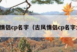 古风情侣cp名字（古风情侣cp名字大全）