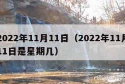 2022年11月11日（2022年11月11日是星期几）