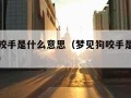 梦见狗咬手是什么意思（梦见狗咬手是什么意思解法）