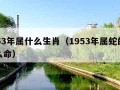 1953年属什么生肖（1953年属蛇的是什么命）