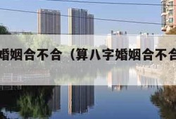 算八字婚姻合不合（算八字婚姻合不合需要什么）