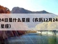 2月24日是什么星座（农历12月24日是什么星座）