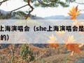 she上海演唱会（she上海演唱会是几几年开的）