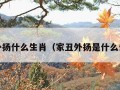 家丑外扬什么生肖（家丑外扬是什么生肖1）