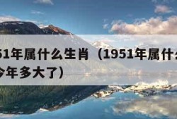 1951年属什么生肖（1951年属什么生肖今年多大了）