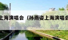 孙燕姿上海演唱会（孙燕姿上海演唱会审批通过）