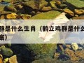 鹤立鸡群是什么生肖（鹤立鸡群是什么生肖请揭晓答案）