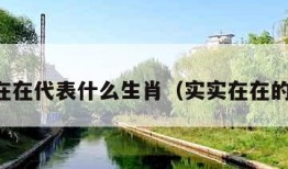 实实在在代表什么生肖（实实在在的生肖）