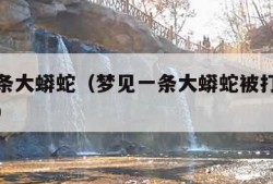 梦见一条大蟒蛇（梦见一条大蟒蛇被打死了什么意思）