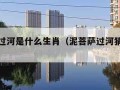 泥菩萨过河是什么生肖（泥菩萨过河猜一个数字）