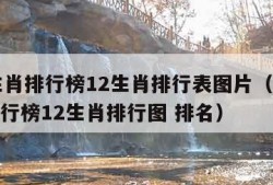 12生肖排行榜12生肖排行表图片（12生肖排行榜12生肖排行图 排名）