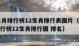 12生肖排行榜12生肖排行表图片（12生肖排行榜12生肖排行图 排名）