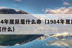 1984年属鼠是什么命（1984年属鼠五行属什么）