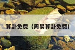 算卦免费（周易算卦免费）