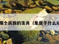 象是哪个民族的生肖（象属于什么动物?）