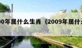 2000年属什么生肖（2009年属什么生肖）