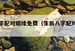 生辰八字配对姻缘免费（生辰八字配对姻缘测试）