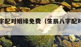 生辰八字配对姻缘免费（生辰八字配对姻缘测试）