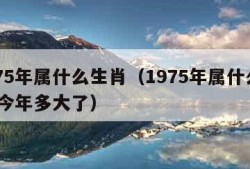 1975年属什么生肖（1975年属什么生肖 今年多大了）