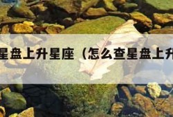 怎么查星盘上升星座（怎么查星盘上升星座查询）