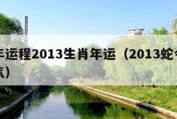 蛇年运程2013生肖年运（2013蛇今年运气）