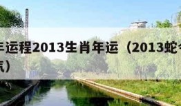 蛇年运程2013生肖年运（2013蛇今年运气）