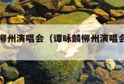 谭咏麟柳州演唱会（谭咏麟柳州演唱会有几场）