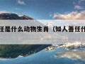 知人善任是什么动物生肖（知人善任什么意思解释）