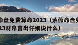 紫薇命盘免费算命2023（紫薇命盘免费算命2023财帛宫出仔细说什么）